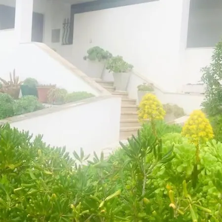 Casinha Do Mar Appartement